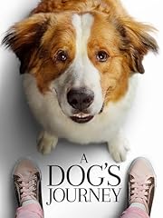 Dog journey for sale  Delivered anywhere in UK