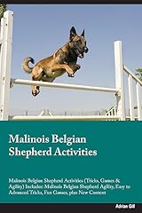 Malinois belgian shepherd for sale  Delivered anywhere in UK