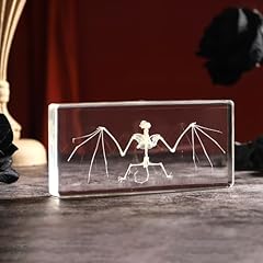 Real bat skeleton for sale  Delivered anywhere in USA 