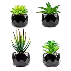 Canirologas artificial plants for sale  Delivered anywhere in UK