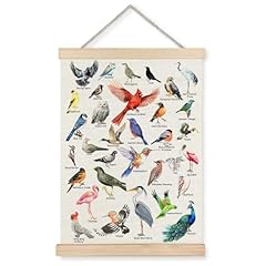 Jinyo bird wall for sale  Delivered anywhere in USA 