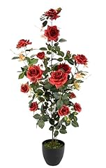 Rosenbusch topf rosen gebraucht kaufen  Wird an jeden Ort in Deutschland
