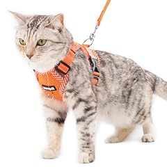 Pangdi cat harness for sale  Delivered anywhere in USA 
