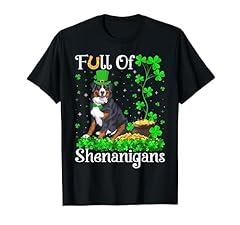 Full shenanigans bernese for sale  Delivered anywhere in USA 