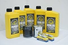 Kit tagliando compatibile usato  Spedito ovunque in Italia 