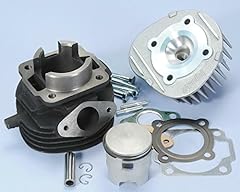 Zylinderkit polini grigio usato  Spedito ovunque in Italia 
