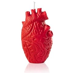 Zainpe anatomical heart for sale  Delivered anywhere in USA 