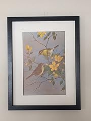 Mounted framed willow for sale  Delivered anywhere in UK