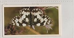 Sa1 marbled white for sale  Delivered anywhere in UK