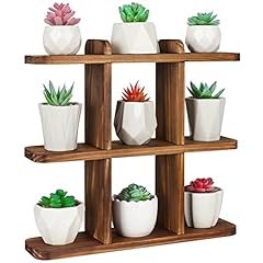 Ufine wood succulents for sale  Delivered anywhere in USA 