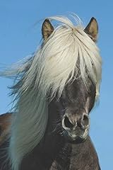 Icelandic horse journal for sale  Delivered anywhere in USA 