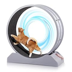 Outvita cat wheel for sale  Delivered anywhere in USA 