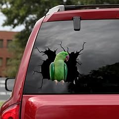 Alexandrine parrot cracked for sale  Delivered anywhere in USA 