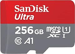 Sandisk 256 ultra usato  Spedito ovunque in Italia 