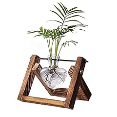 Kingbuy plant terrarium for sale  Delivered anywhere in USA 