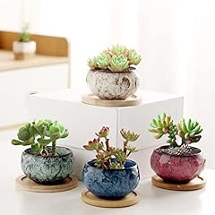 Yyw ceramic plants for sale  Delivered anywhere in USA 