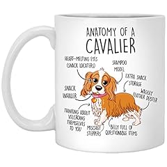 Cavalier king charles for sale  Delivered anywhere in USA 