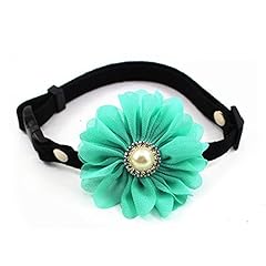 Petfavorites rhinestones daisy for sale  Delivered anywhere in USA 
