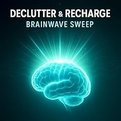 Declutter recharge brainwave usato  Spedito ovunque in Italia 