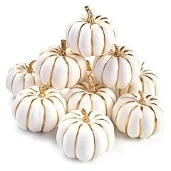 Domestar 10pcs white for sale  Delivered anywhere in USA 
