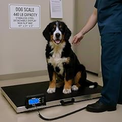 Houseables dog scale for sale  Delivered anywhere in USA 