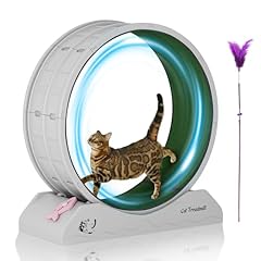 Dausola cat exercise for sale  Delivered anywhere in USA 
