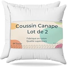 Coussin canape 50x50 d'occasion  Livré partout en France
