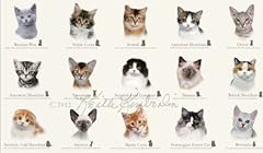 Cat breeds feline for sale  Delivered anywhere in UK