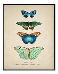 Shophaven vintage butterfly for sale  Delivered anywhere in USA 