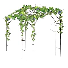 Bukliyn grape vine for sale  Delivered anywhere in USA 