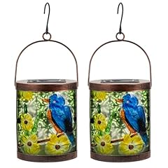 Sunnysolar pack bluebird for sale  Delivered anywhere in USA 