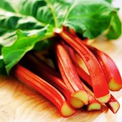 Red cherry rhubarb for sale  Delivered anywhere in USA 