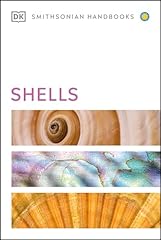 Shells for sale  Delivered anywhere in USA 