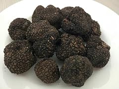 Tartufo fresco estivo usato  Spedito ovunque in Italia 