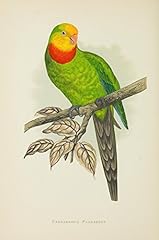Posterazzi parrots captivity for sale  Delivered anywhere in USA 