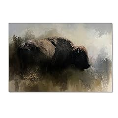 Abstract american bison for sale  Delivered anywhere in USA 
