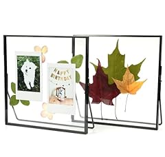Beedecor double glass for sale  Delivered anywhere in USA 