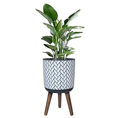 Fuxuiwy plant pot for sale  Delivered anywhere in USA 