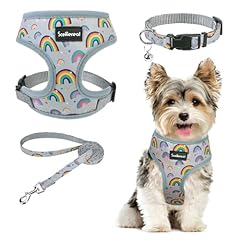 Scenereal small dog for sale  Delivered anywhere in USA 