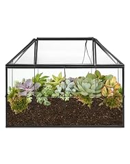 Qwork geometrisches terrarieng gebraucht kaufen  Wird an jeden Ort in Deutschland