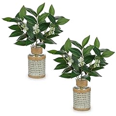 Dilatata 2pcs artificial for sale  Delivered anywhere in USA 