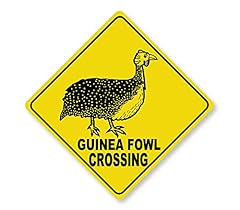 Guinea fowl crossing for sale  Delivered anywhere in USA 