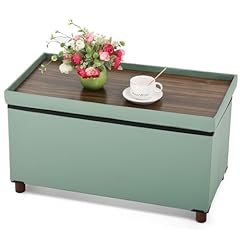 Dorriss ottoman storage for sale  Delivered anywhere in USA 