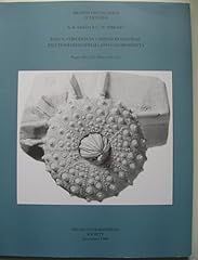British cretaceous echinoids for sale  Delivered anywhere in UK