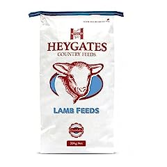 Heygates ram lamb for sale  Delivered anywhere in Ireland