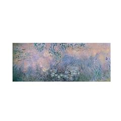 Water lilies 1914 for sale  Delivered anywhere in USA 