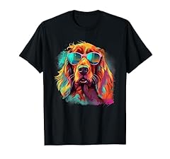 Irish red setter for sale  Delivered anywhere in UK