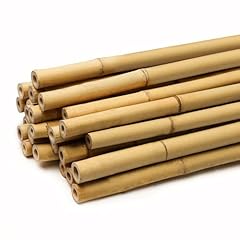 Funkybuys thick bamboo for sale  Delivered anywhere in UK