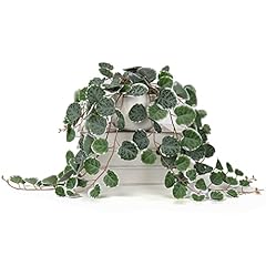 Briful fake plants for sale  Delivered anywhere in USA 