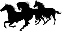 Lightningsigns wild horses for sale  Delivered anywhere in UK